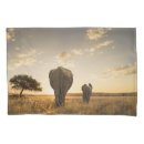 Search for african elephant pillowcases Young animal