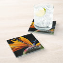 Search for hawaii coasters Travel