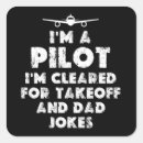 Search for pilot jokes Aeroplane