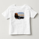 Search for split rock lighthouse tshirts North shore