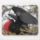 Search for beak mousepads Colourful