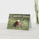Search for texas birthday cards Horns