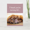 Search for 60th dog birthday cards Humour