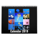 Search for jellyfish gifts Photography