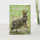 Search for rabbit birthday cards Celebration