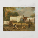 Search for farmyard postcards School