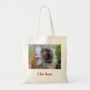 Search for lemurs bags Animals