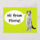 Search for fun cat postcards Kittens