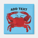Search for boil magnets Crab