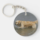 Search for dog coat key rings Retriever golden