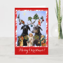 Search for spoof christmas cards Santa