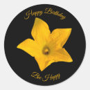 Search for bee happy birthday stickers Yellow