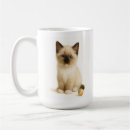 Search for ragdoll kitten mugs Pet