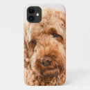 Search for goldendoodle iphone cases Animal