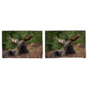 Search for moose pillowcases Forest