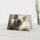 Search for siamese cat art cards Pet