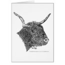Search for cow drawing postcards Bull