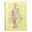 Search for anatomy and physiology Medical student