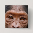 Search for chimp badges Primate
