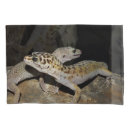 Search for leopard gecko gifts Animal