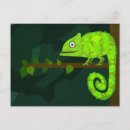 Search for cute chameleon postcards Green