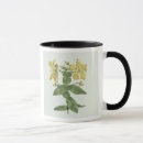 Search for 1730 mugs James