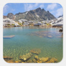 Search for inyo national forest stickers Jaynes gallery