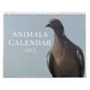 Search for lion calendars Rhino