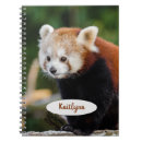 Search for red panda notebooks Cute