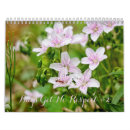 Search for bug calendars Insects