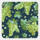 Search for green grapes stickers Food