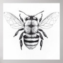 Search for bee drawing posters Nature