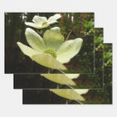 Search for dogwood wrapping paper Nature