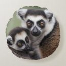 Search for lemur cushions Primate