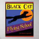 Search for fly posters Cats