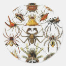 Search for der stickers Kunstformen der natur