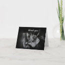 Search for halloween skeleton thank you cards Skull