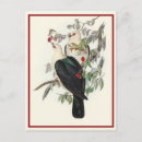 Search for white headed postcards Vintage