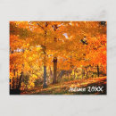 Search for fall foliage postcards Nature