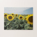 Search for provence puzzles Field