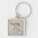 Search for lateral key rings View