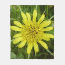Search for beard photography Tragopogon dubius