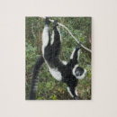 Search for rare puzzles Animal