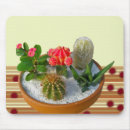 Search for houseplants mousepads Cacti