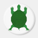 Search for turtled magnets Tortoise