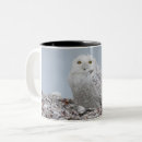 Search for snowy owl coffee mugs Nature