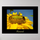 Search for renewal art Inspirational