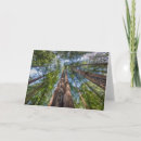 Search for muir woods cards Redwood