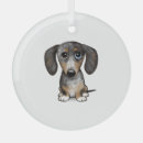 Search for wiener dog christmas tree decorations Animal