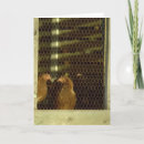 Search for coops cards Bird